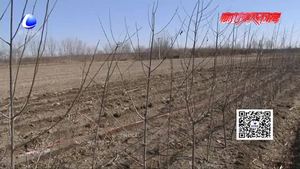 万庄镇扎实推进征地工作 确保城际铁路S6线顺利施工