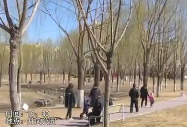 助你文明——文明游园 爱护环境