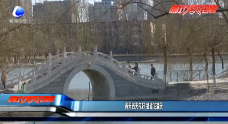 春天到天气好 纸鸢飞满天