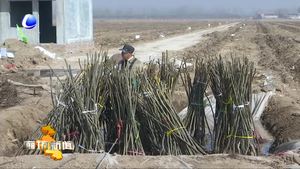 全国人大代表方金华：服务果农面对面“两会”精神到田间