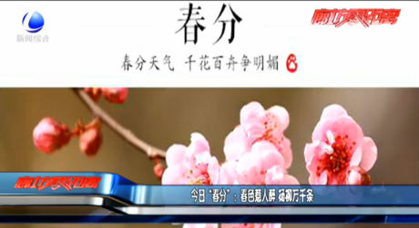今日“春分”：春色惹人醉 杨柳万千条