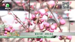 春花烂漫时 美景在身边