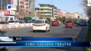 市交警部门加强联动倡环保 严查整治不手软
