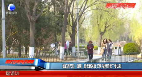 我们的节日 清明：祭祀新风尚 文明 绿色祭祀广受认同