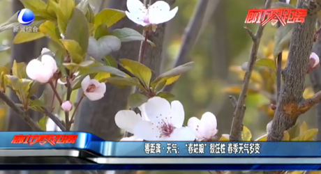 零距离天气：“春姑娘”很任性 春季天气多变