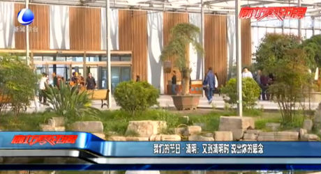 我们的节日 清明：又到清明时 说出你的思念