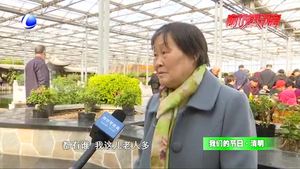 我们的节日·清明：又到清明时 说出你的思念