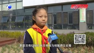 交通安全进校园 安全知识半成长