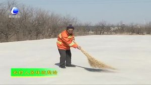 大城县广安镇扎实开展农村环境整治工作