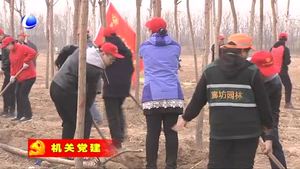 市直工委组织市直机关党员志愿者义务植物