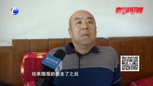 零距离·热线:女子撞倒老人后逃逸 老人望其自首道歉