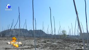 我市高标准高质量做好环保督查整改工作 全面加强生态环境建设