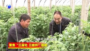 香河县农业气象专家联盟为农业增产 农民增收提供支撑