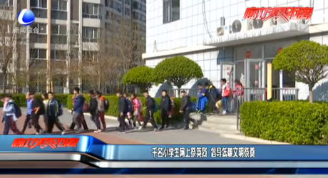 千名小学生网上祭英烈 倡导低碳文明祭奠