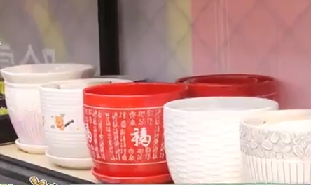 春季花卉换盆正当时