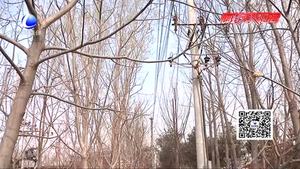 廊坊电力营销部提示您：没药违规种树