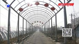 冬去春来显生机 大棚蔬菜忙种植