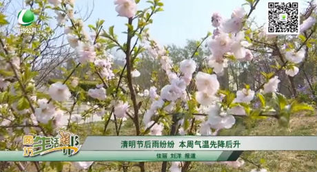 清明节后雨纷纷 本周气温先降后升