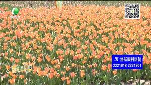 助你文明——文明游园 不要摘花