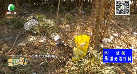 绿化带变垃圾带 这里到底归谁管