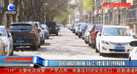 阳春四月杨絮成市民暮春烦恼 专业人士：轻微少量飞絮不会带来明显影响