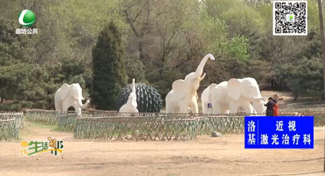 助你文明--请文明游园 让春色长留