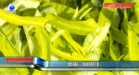 食在好源头——空心菜的营养价值