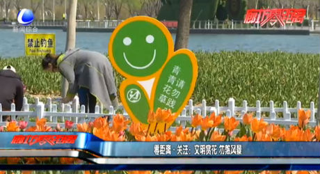 零距离·关注：文明赏花 勿煞风景