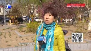 零距离·热线 ：小区内多条宠物狗中毒 狗主心慌慌