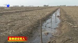 王永东：退伍不褪色 一心为色做实事