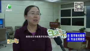 又到“飞絮季”