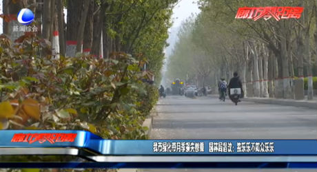 我市绿化带月季损失惨重 园林局倡议：独乐乐不如众乐乐