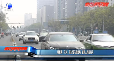 零距离·天气：草场莺飞春意闹 最美人间四月天