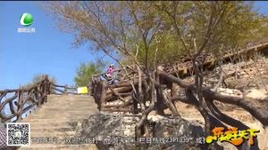 乐游天下 20190426