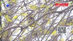 “五一”劳动节加班 加班费怎么算