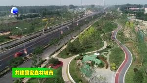 我市第一季度超额完成省下达全年营造林任务