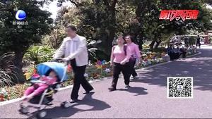 零距离•健康：春暖花开时节   谨防花粉过敏