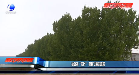 给杨树“打针” 控制飞絮见成效