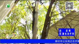 小区内枯树断枝 电杆倾斜存隐患