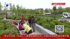 花美还需文明衬 杜绝不文明游园行为