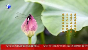 今日立夏：孟夏之日 天地始交 万物并秀