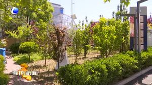 本周我市天气以晴为主 气温稳步回升