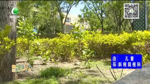 助你文明——爱护绿化 保持清洁