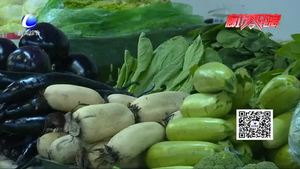 夏季蔬菜即将上市 菜价平稳下降