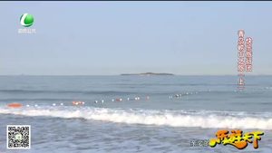 乐游天下 20190510