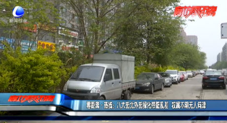 零距离·热线：八大街北外街绿化带脏乱差  权属不明无人问津