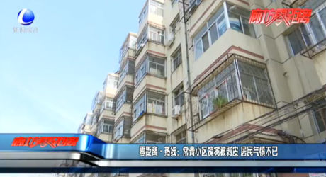 零距离·热线：常青小区槐树被剥皮 居民气愤不已