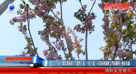 【“5·18”我们准备好了】我市打造“一街一品” 从早春到深秋 让市民拥有一座后花园
