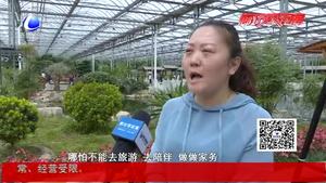 母亲节：不要只在朋友圈说爱她 陪伴是最好的礼物