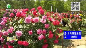 本周以晴到多云天气为主